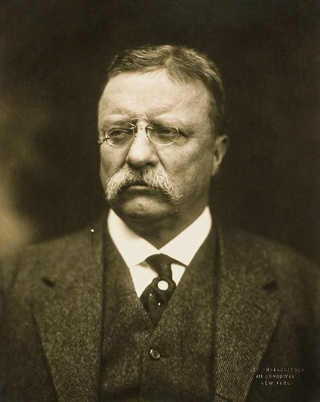 Theodore Roosevelt quote about personal responsibility and determination